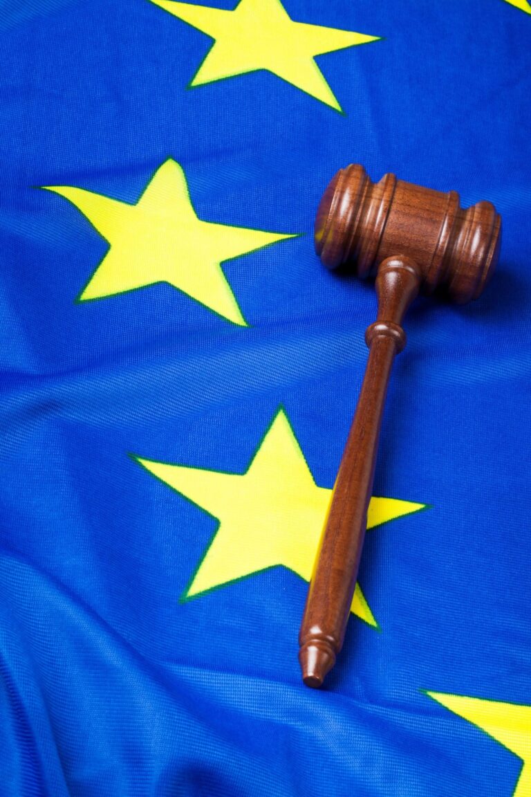 EU Flagge Entscheidung EU Verpackungsrichtlinie